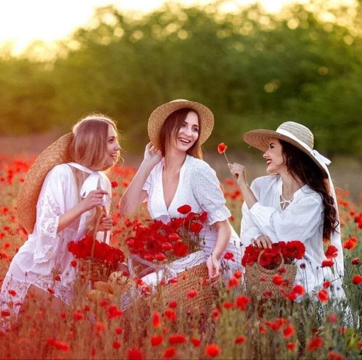pepsi🌹 tweet media