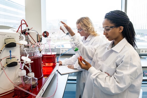 We're proud to announce our collaboration with RocketVax, a subsidiary of Swiss Rockets. Batavia will develop the clinical process and deliver clinical product of RocketVax’s highly promising second generation SARS-CoV-2 vaccine candidate.
#covid19vaccine #bioprocessing #CDMO