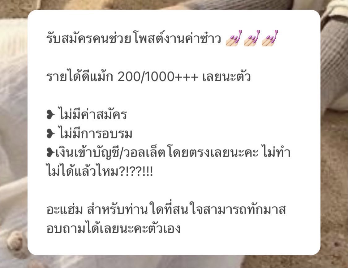 KodchaphonP's tweet photo. 📌หาคนช่วยโพสต์ค่าาาา📌
 เงินโอนเข้าบัญชี/วอลเลททุกวัน (��ิ่งทำมากยิ่งได้มาก)📍
💌สนใจทัก DM มาได้เลยค่าา💌
มีค่าสอน30บาทเท่านั้น
#งานออนไลน์ได้เงินจริง #งานออนไลน์ #งานออนไลน์รายได้ดี #หาเงินเข้าwallet  #งานโพสต์ #หางานทำช่วงปิดเทอม #รับปั่นบา #หางานออนไลน์ https://t.co/rNLif6lcQo