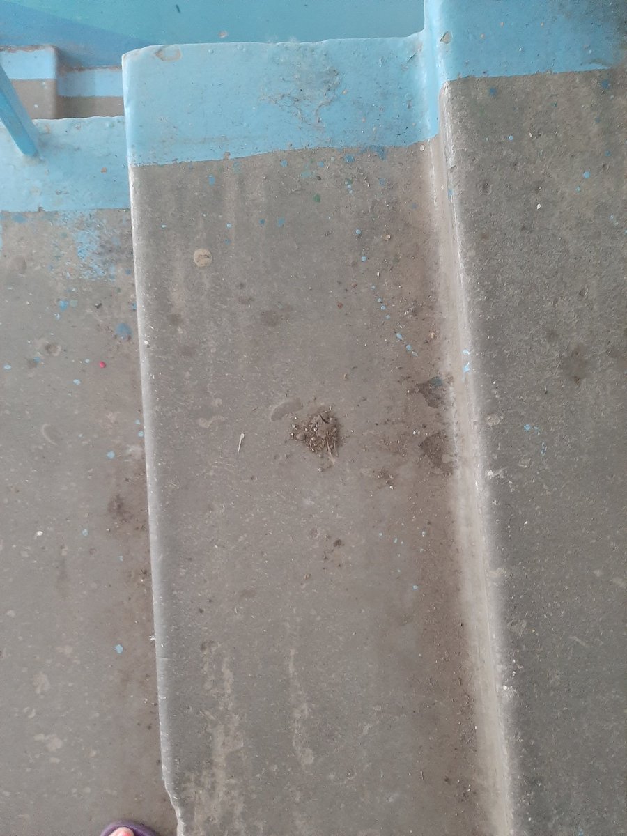 Нина tweet media