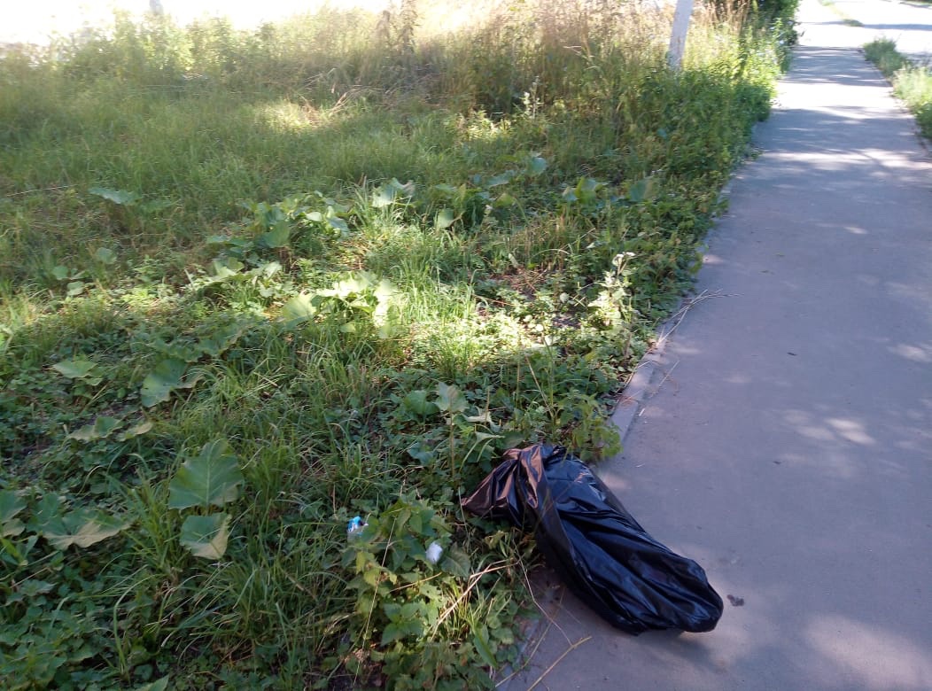mup_blago's tweet photo. Уборка случайного мусора по городу https://t.co/t5gpOmhJji
