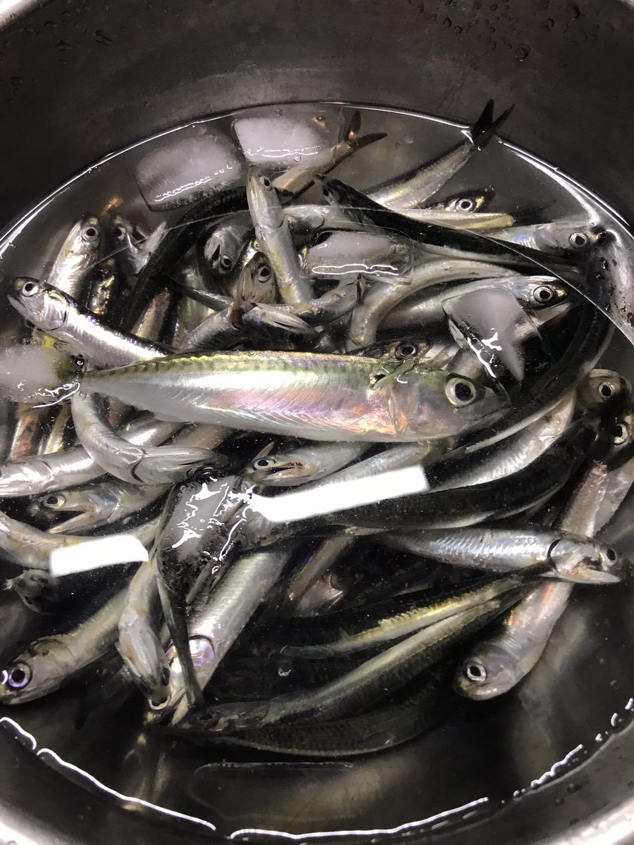 みんなの みんみん テイクアウト 口コミ 評判 食べたいランチ 夜ごはんがきっと見つかる ナウティスイーツ みんなの みんみん テイクアウト 口コミ 評判 食べたいランチ 夜ごはんがきっと見つかる ナウティスイーツ