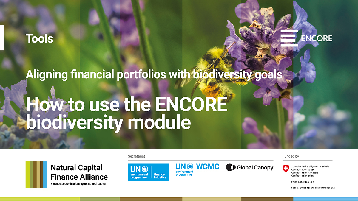 🆕 HOW TO use the new #ENCORE biodiversity module❓ Click on the links below to ⤵️ 📗 Explore a brand new guide, including two hypothetical case studies: bit.ly/3dIUcrm 🖱️ Explore the new biodiversity module: bit.ly/3yqKDFl