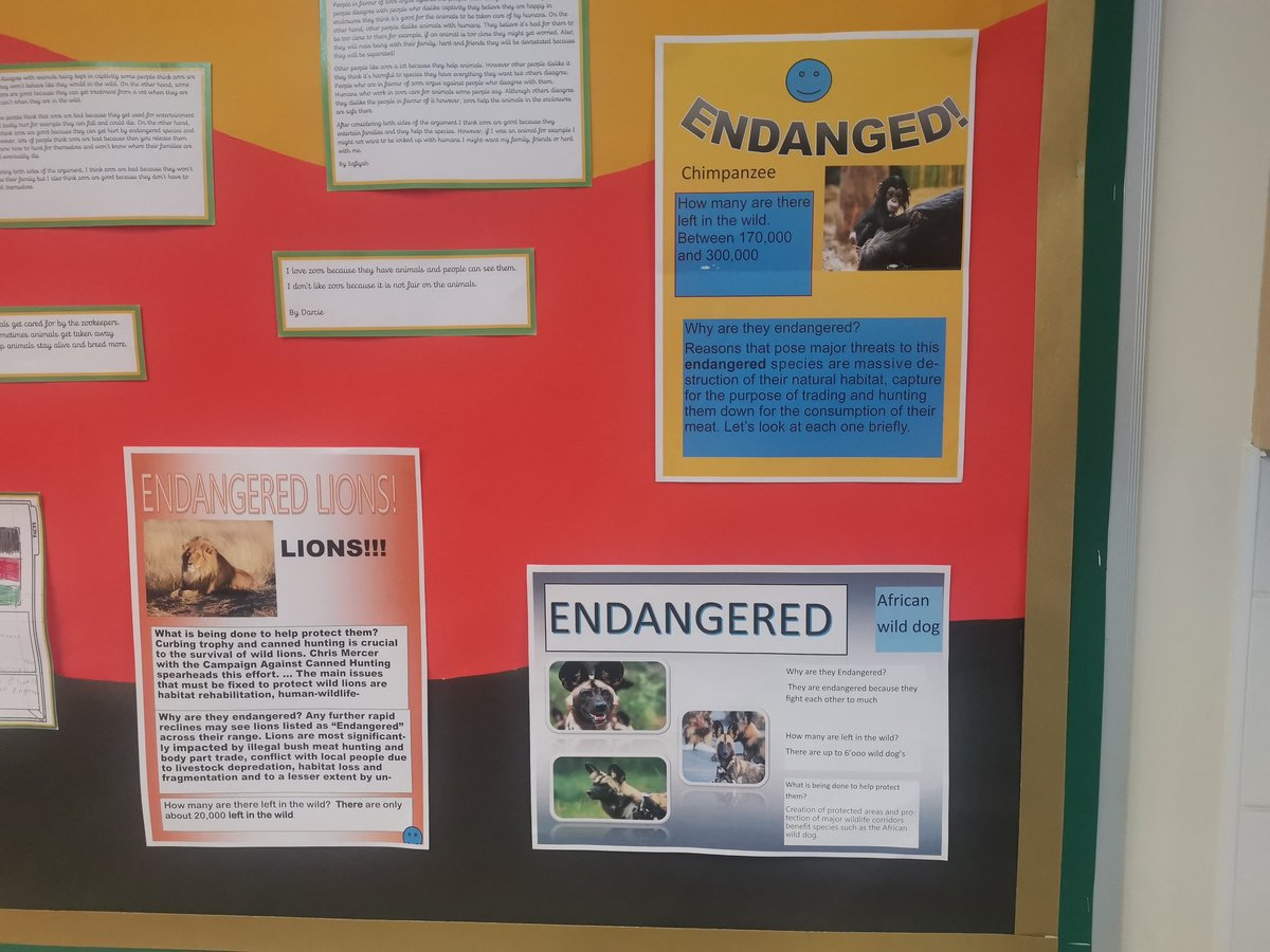 On Computing Day last week, we used MS Publisher to create a poster to raise awareness about endangered species. They finished off our Africa display just nicely! 🌍🐈🐆🐂🦓🦁🦒
