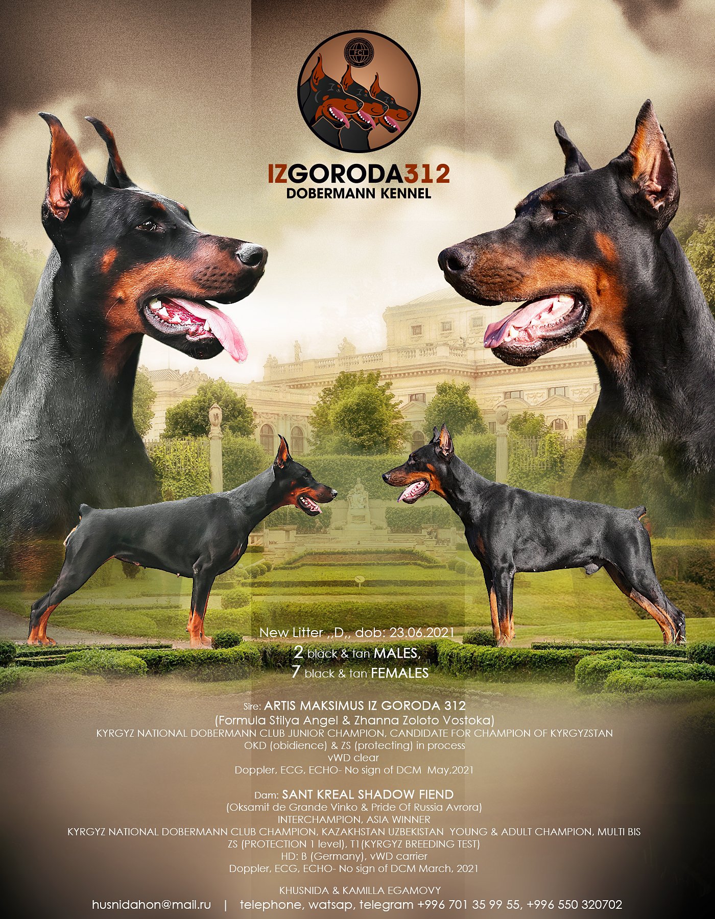 IZ GORODA 312 DOBERMANNS / Twitter