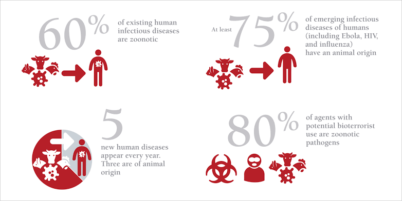 Bu gün #WorldZoonosesDay #dünyazoonozgünü 
Yeni Çıkan Bulaşıcı Hastalıkların %75'i zoonotik, her yıl keşfedilen 5 infeksiyöz hastalıkların 3 zoonoz.