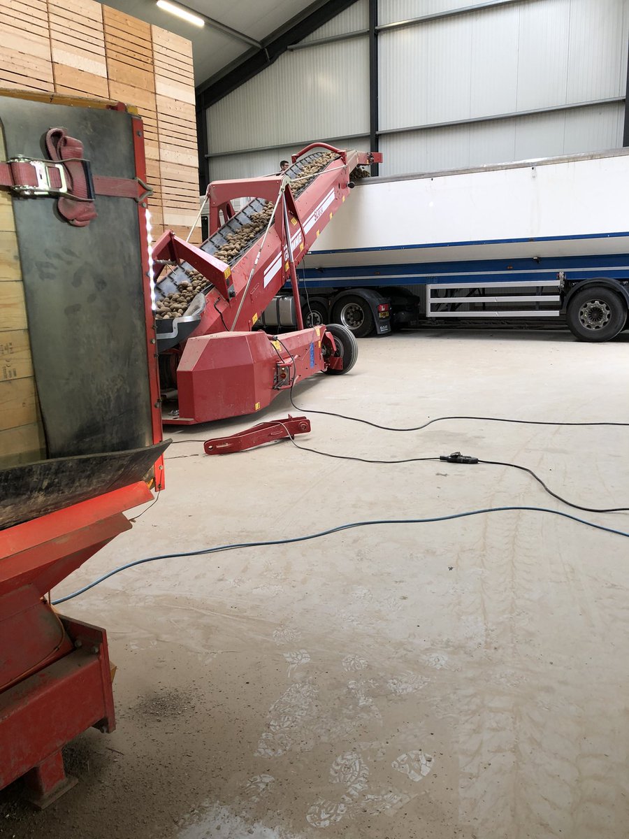 Prachtige Agria’s laden op 6 juli voor #Célavita #Agria #kistenbewaring #mooijagro #oogst2020