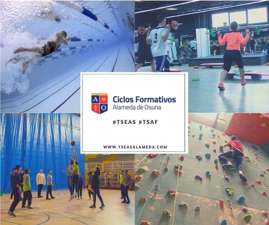 📣¡Buscamos deportistas! Si te gusta el #deporte y la enseñanza te invitamos a conocer nuestros #CiclosFormativos:

✅Técnico Superior en Enseñanza y Animación Sociodeportiva #TSEAS
✅Técnico Superior en Acondicionamiento Físico #TSAF

tseasalameda.com