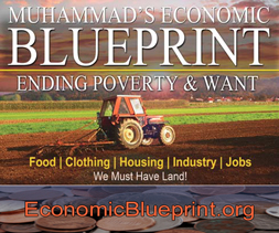 Renata564's tweet image. "For good health, we should raise and prepare our own food." ~The Honorable Elijah Muhammad, How To Eat To Live, page 7
#ElijahMuhammad #HTETL #Farrakhan #ChooseLife