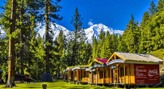 triploggers's tweet photo. A colourful view of cottages in Fairly meadows located in Diamer District, Gilgit-Baltistan, Pakistan.
#triploggers #tourguide #tourism #Pakistan #tourismpakistan #MeraPakistan #nature_perfection #FairyMeadows #NangaParbat  #GilgitBaltistan  #DiamerDistrict  #keepupdated https://t.co/9oKYXMmY9H