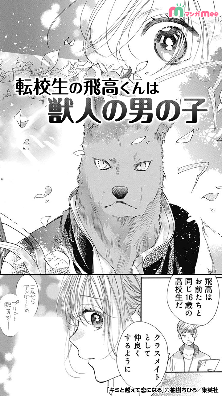みぃ マンガmeeおすすめ漫画紹介 獣人の男の子 人間の女の子 種族を越えて少しずつ歩み寄ってく話 1 5 キミと越えて恋になる 漫画が読めるハッシュタグ 続きはアプリをダウンロード Ios T Co K4qtffwwn9 Android T Co M2ypyqeogj みぃ マンガmeeおすすめ漫画紹介 獣人の男の子 人間の女の子 種族を越えて少しずつ歩み寄ってく話 1 5 キミと越えて恋になる 漫画が読めるハッシュタグ 続きはアプリをダウンロード Ios T Co K4qtffwwn9 Android T Co M2ypyqeogj