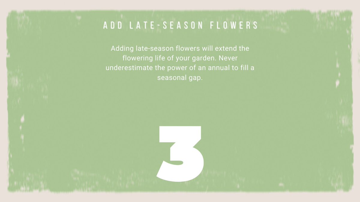 We've got all you need to transform your garden 🍃

#wearethegrowers #plantlife #plantaddict #gardener #greenhouse #urbanjunglebloggers #plantgoals #outdoorplants #gardenplants #plantsofinstagram #plantsmakepeoplehappy