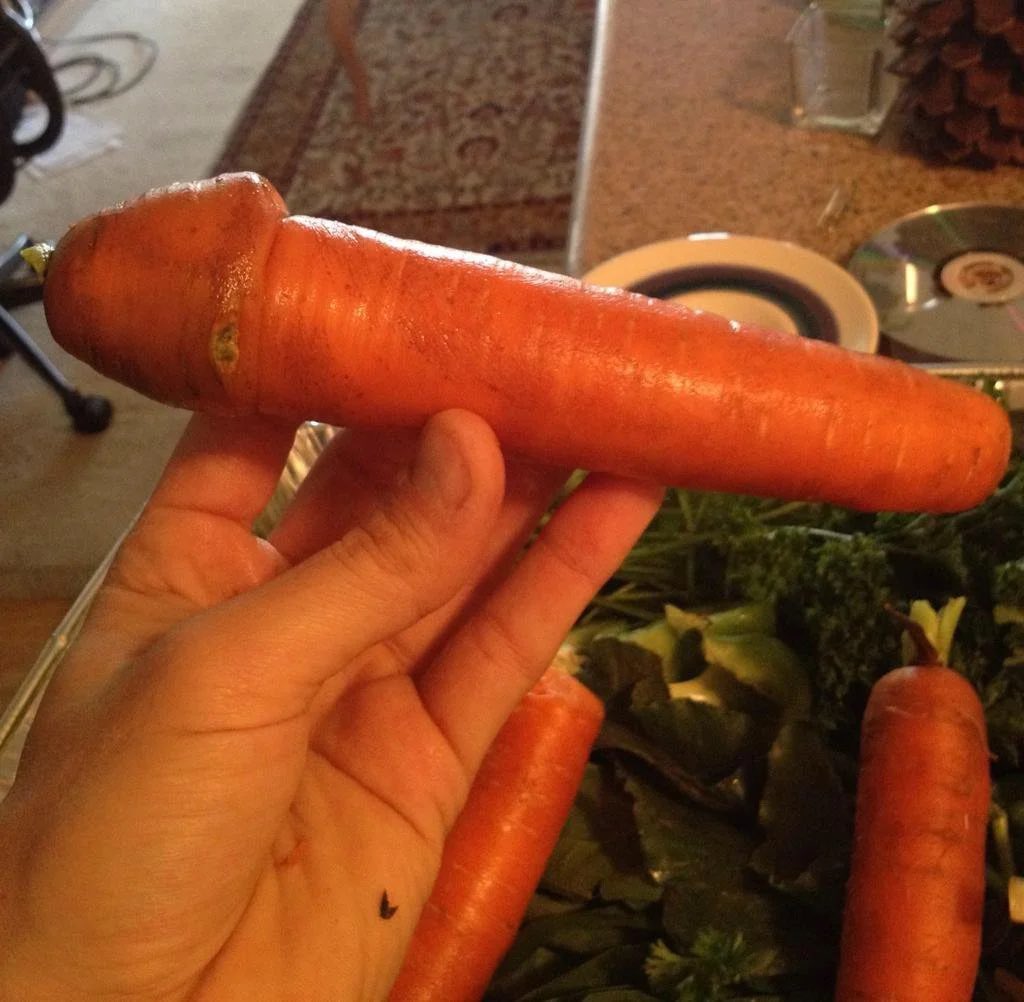 Gelukkig is dat ego bijtend Amy Miller on Twitter: "Not enough people seem to care that Carrot Top's  whole penis is on Instagram." / Twitter