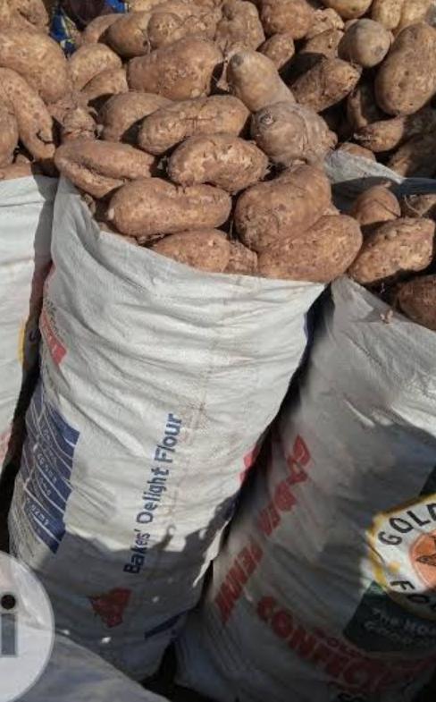 STRIKERGEMS's tweet image. Irish potatoes straight from the farm for sale!!!
Delivery Nationwide.

Kindly contact Madam Pwavi on 
08138530930 to order.

Pls RT