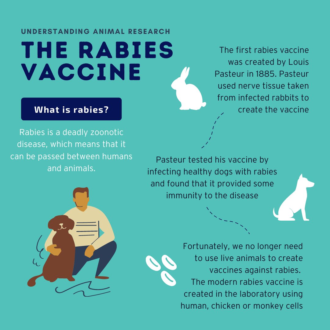 Thanks for understanding animals