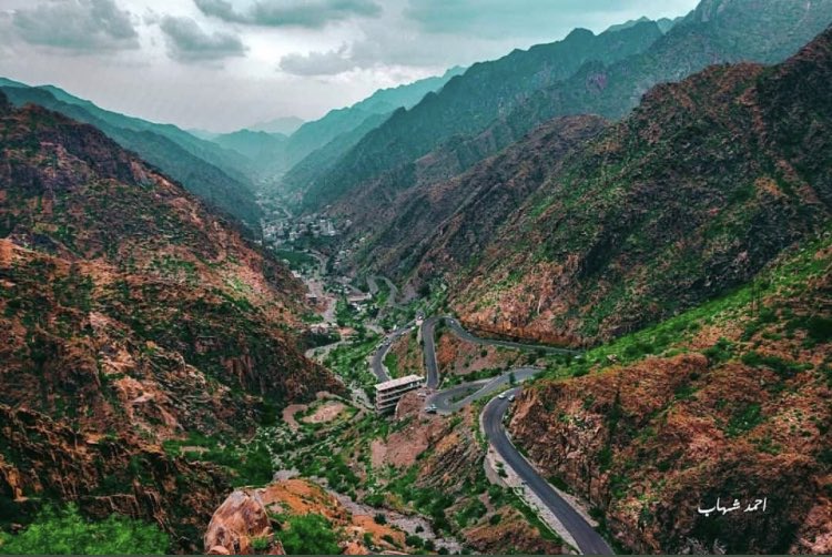 كــــافو tweet media