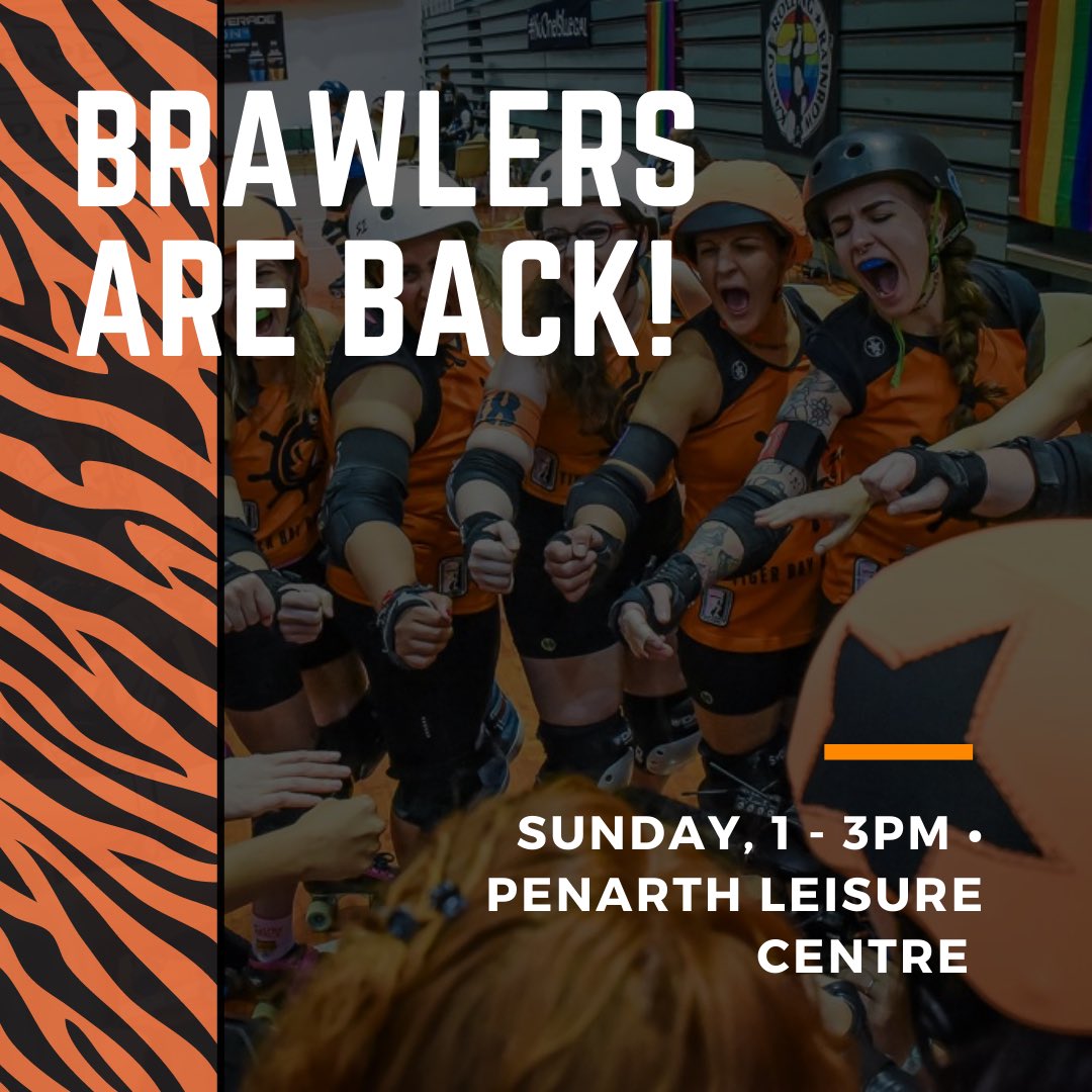 Tiger Bay Brawlers tweet media