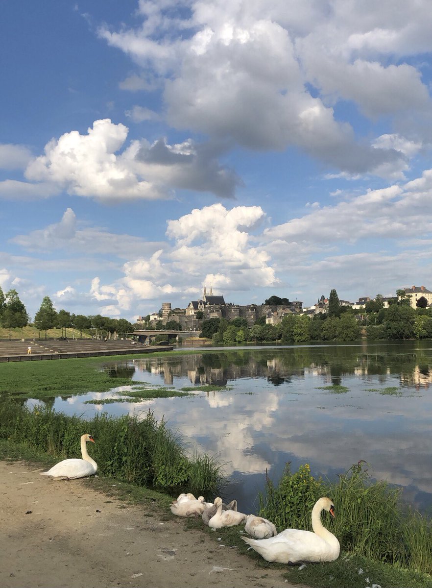 Agathe1809's tweet photo. Angers, quelle ville incroyable 🤍 https://t.co/OtFqmNl4Dn