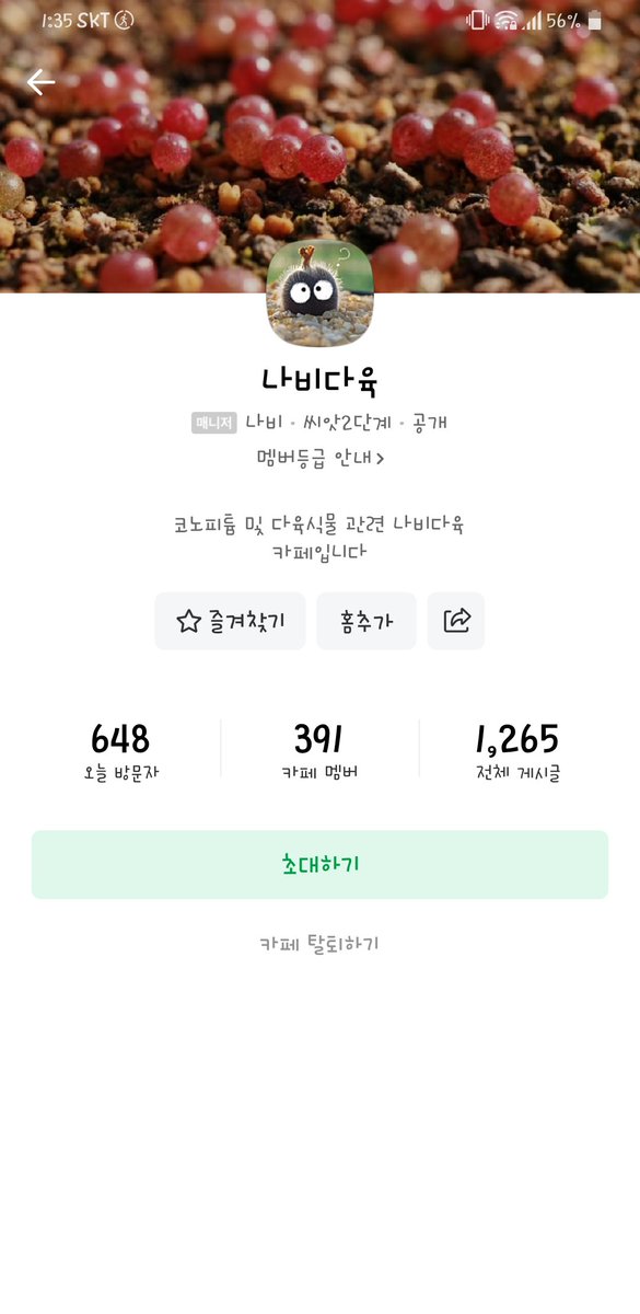 happyneko_ko's tweet image. 다육이를 엇비슷하게 시작해서 친하게 지내던 나비언니, 하우스를 짓고, 다육거상이 되시더니 카페주인님까지 되신!
다육이 카페 유목민이었는데 정착해야겠어요.
카페오픈 이벤트도 많이하니 관심있으신분 가입해봅시닷!♡
#나비다육 #다육이키우기 #다육카페 #다육카페추천

cafe.naver.com/nabiplant