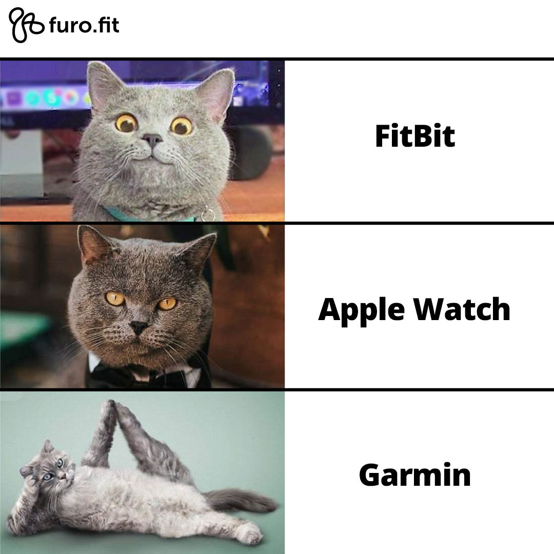 Furo Fit My Mood When I Get A New Garmin Watch What About You Garmin Garminrunning Garminforerunner Garminwatch Running Runninglife Runningcommunity Runnersofindia Runnermom Runnersbody Runnerforlife Runnerslifestyle