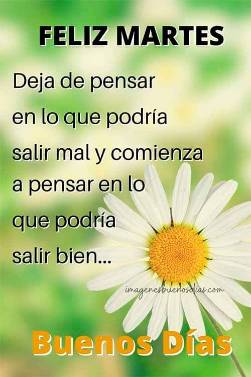 buenos dias feliz martes positivo Imágenes Gricel on