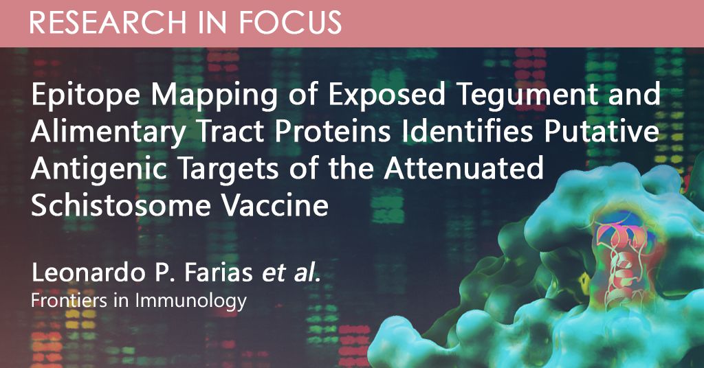 PEPperCHIP's tweet image. A 2021 study by Farias et al. investigated proteins of the parasite Schistosoma mansoni to identify likely epitopes that mediate protection. Screening sera with custom-designed PEPperCHIP #PeptideMicroarrays revealed putative antigenic targets. Read here: buff.ly/3AtYdtx