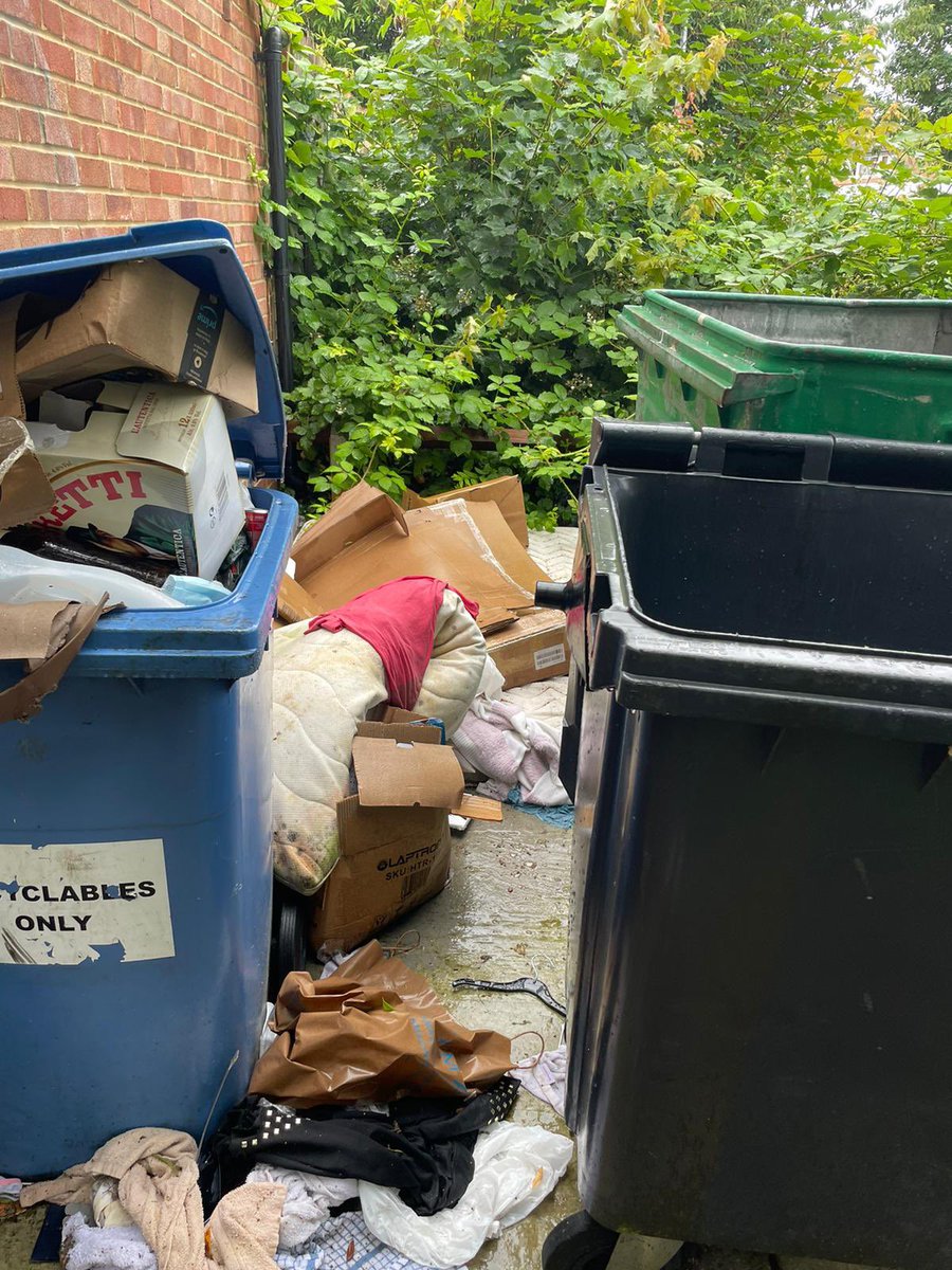 mex_clark's tweet photo. So, @HarlowCouncil this is what the side of my house looks like AFTER the bins have been emptied !
That blue recycling bin hasn’t been emptied for months either .
I thought waste removal was going to be a priority under the new council ?
🤷‍♂️ https://t.co/1x2yoRvB36