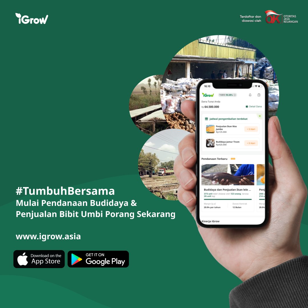Growers, Pada tahun 2020 Indonesia mengekspor porang sebanyak 19.800 ton dengan nilai Rp880M loh!Yuk simak peluang budidaya dan penjualan bibit porang di sini.

#TumbuhBersama #p2plending #p2plendingindonesia #petani #pertanianindonesia #UmbiPorang #Porang