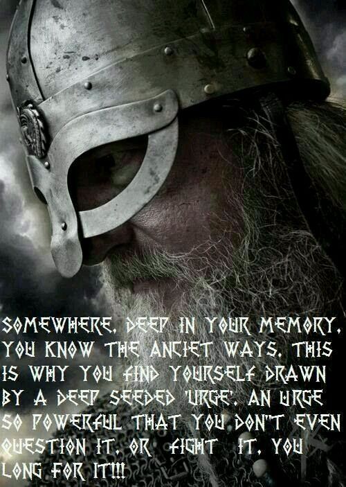 Myvikinggear's tweet photo. https://t.co/KIbffcYyzS