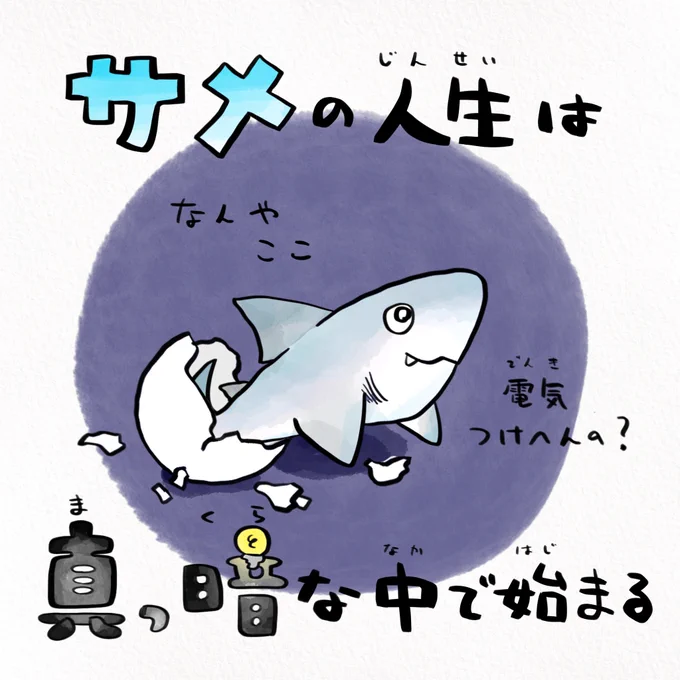 アクアワールド茨城県大洗水族館で絶滅危惧種のサメ・シロワニの繁殖に日本で初めて成功!生まれるまでも人生ベリーハードなシロワニを観に行こう 
