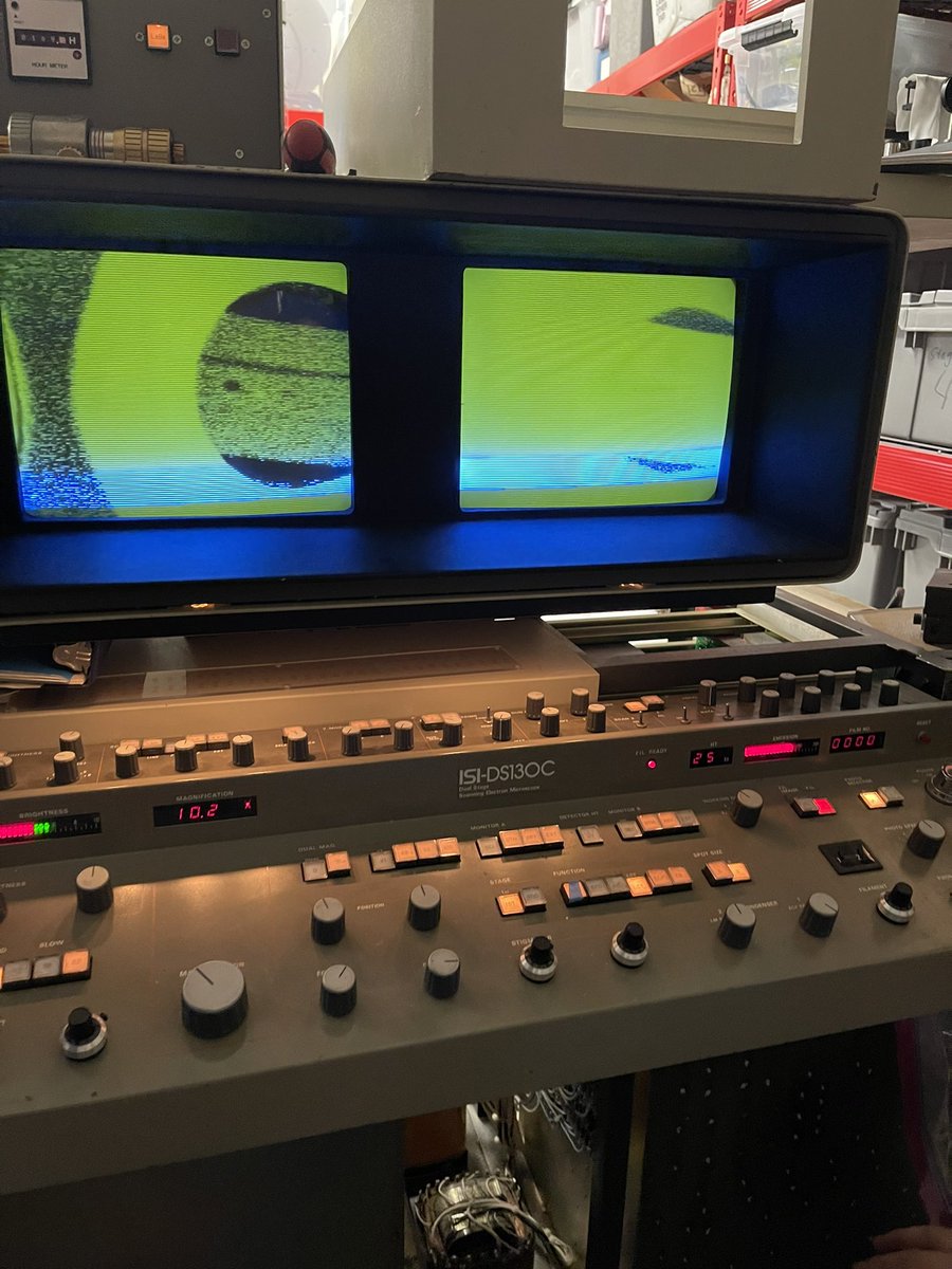 Kelly Peng tweet media