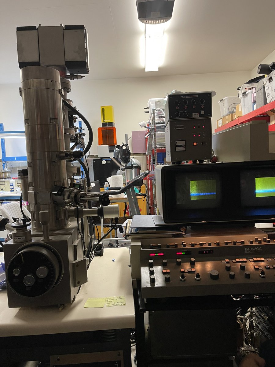 Kelly Peng tweet media