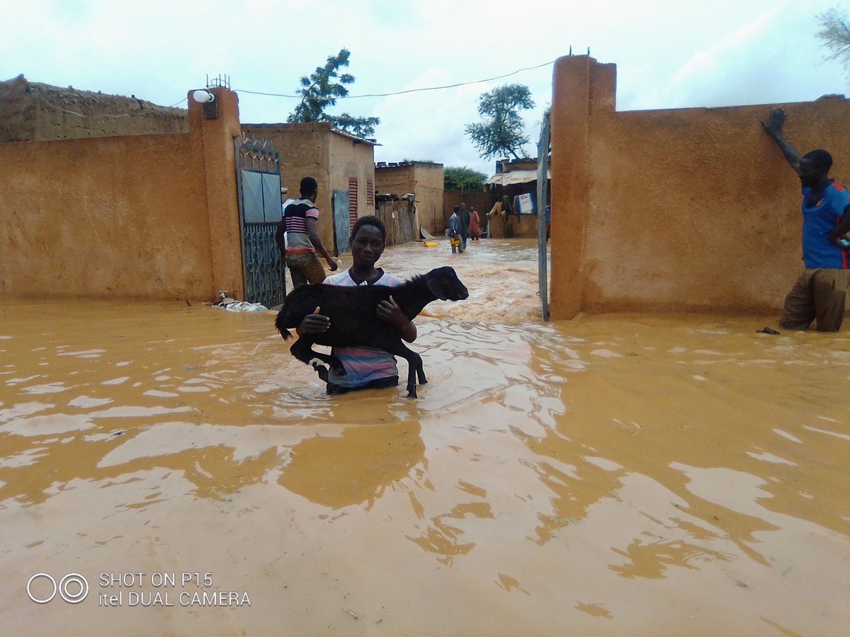 TinaTinde's tweet photo. First responders @crniger joined government partners today to prepare for #floods #rescue via #ForecastBasedFinancing+ support from @CroixRougeBE #FBF Last year in #Niger🇳🇪 floods destroyed 32,000 houses. We @ifrc coordinate efforts as rainy season starts https://t.co/VdWmE54sF6 https://t.co/Rkl5nfwMxj