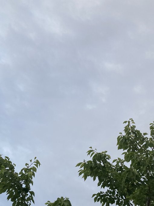 歩きスマホのtwitterイラスト検索結果