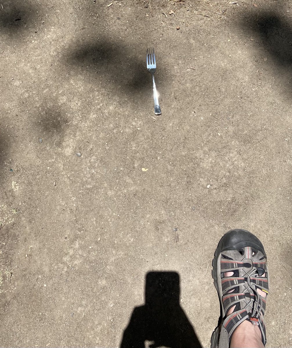 On a hike in Los Angeles and came across this. What do I do?!? Confession: I turned around and went back the way I came. The anxiety was too much.