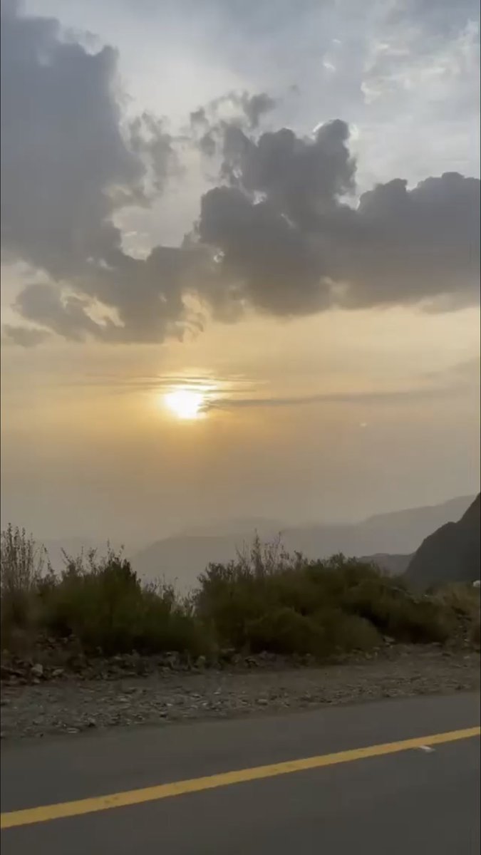 هديل الحمام اللي على الراك صوته سجع 
خطير يطلع ضايق الصدر من طوره 

سمعه حزين فاجعه من زمانه فجع
تنهت وطبق راحة ايده على زوره ..

،

،