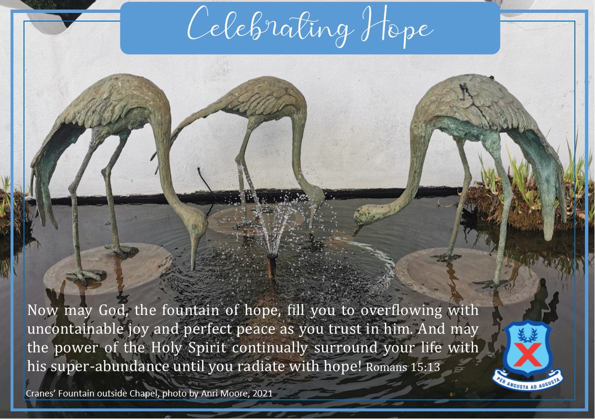 StAndrewsZA's tweet photo. #CelebratingHope https://t.co/dfapbugZLX