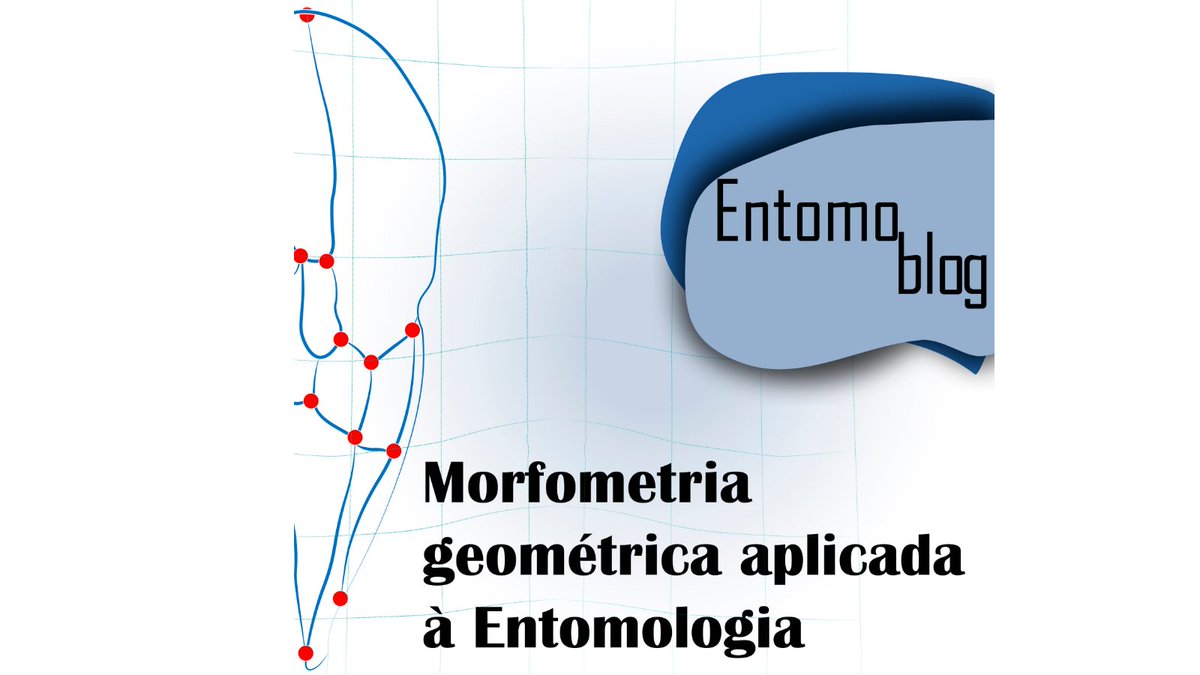 insectumufv's tweet photo. Tá no ar mais um post do nosso blog! 🤓

Desta vez, o tema é Morfometria Geométrica Aplicada à Entomologia, com autoria de Jhon Faber Marulanda Lopez, Edwin Dominguez e Gabriela de Figueiredo Jacintho. https://t.co/Pg3yjbdd8S