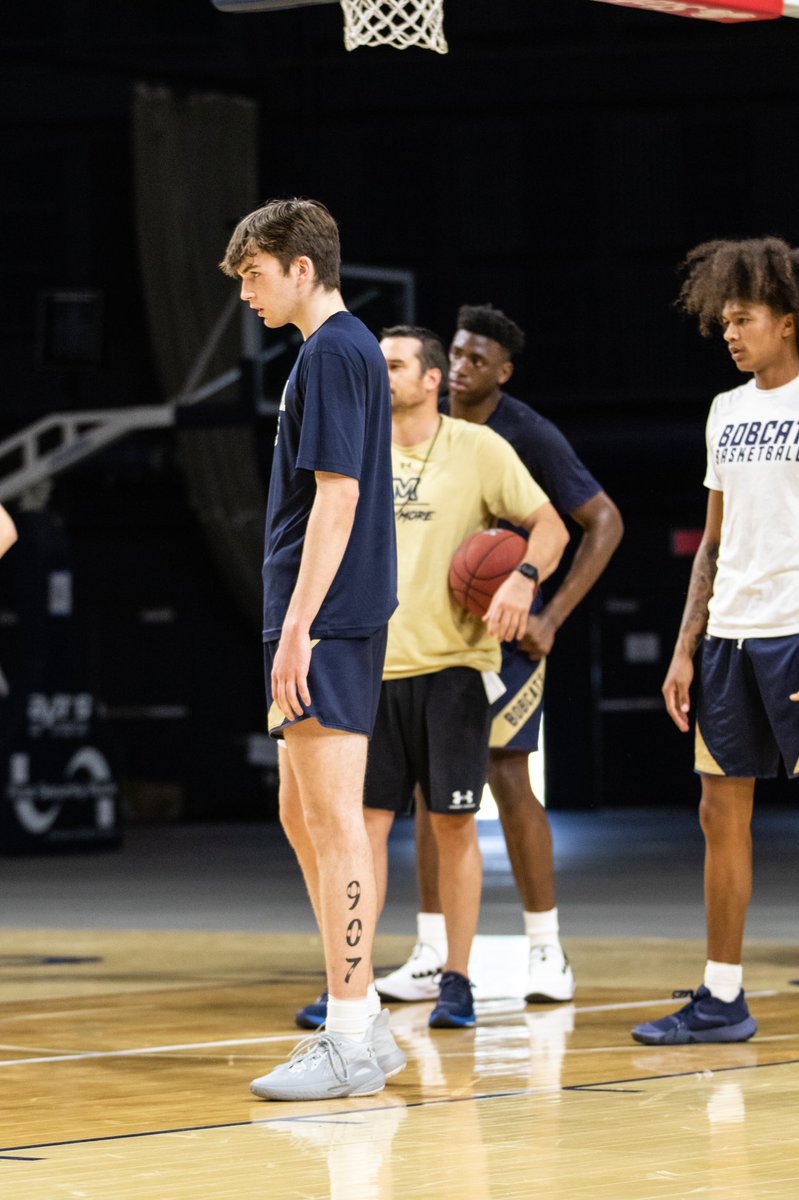 🆕 ‘Cats in the 🏠 

#UBUNTU x #GoCatsGo