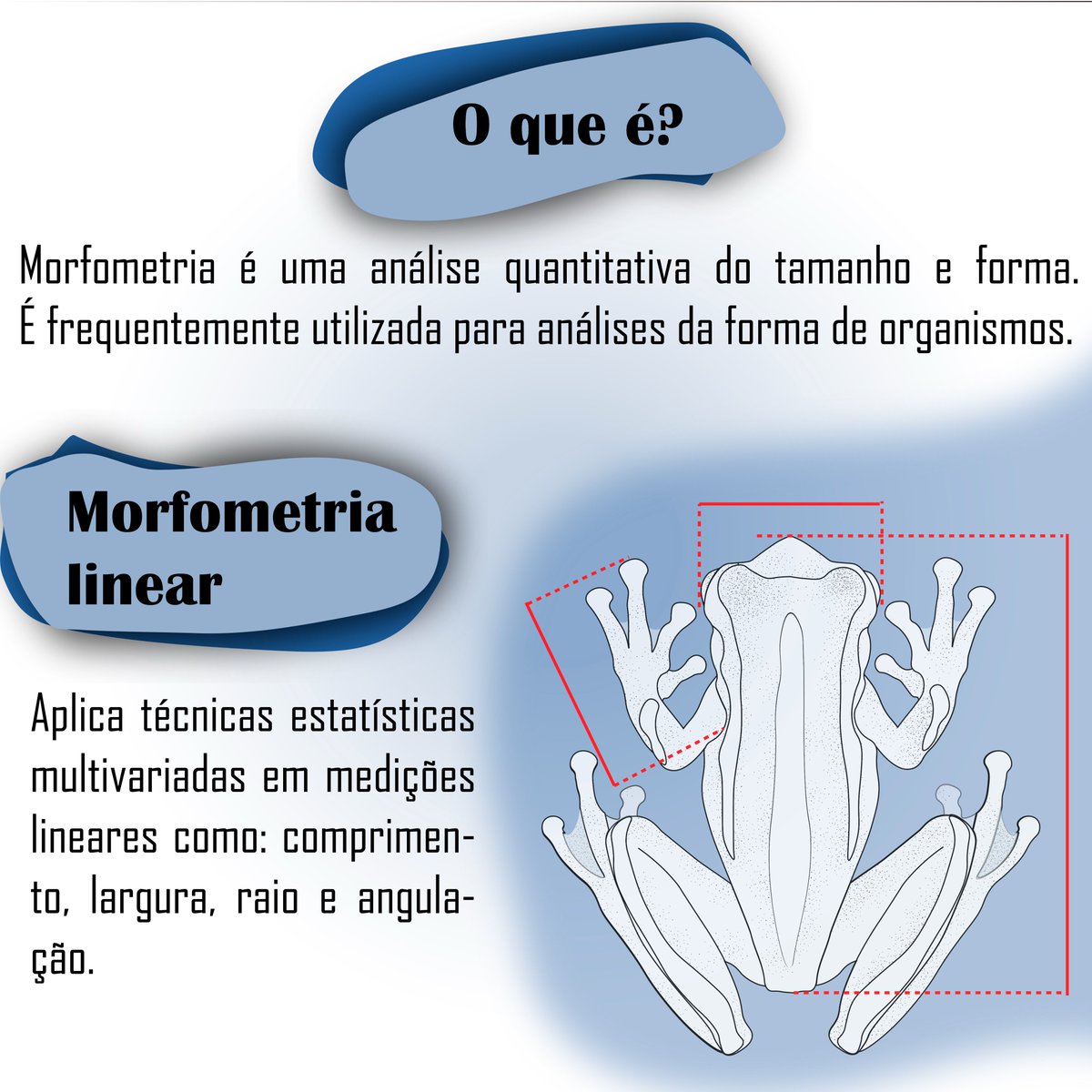 insectumufv's tweet photo. Para conferir este post na íntegra, basta acessar o link: https://t.co/ZIRQ6gvr4M 

Gostou do conteúdo? Curta, compartilhe e salve esta publicação!

#EntomoBlog https://t.co/MiE7gwUvoG