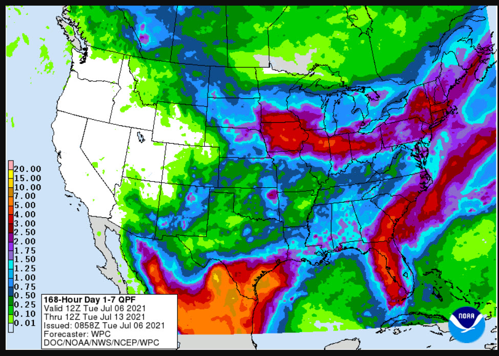 ScottIrwinUI's tweet photo. If you wonder why grain futures are face-planting today look no further than this 7-day forecast precip map.  This is right into pollination. https://t.co/8LRQ2o4AIh