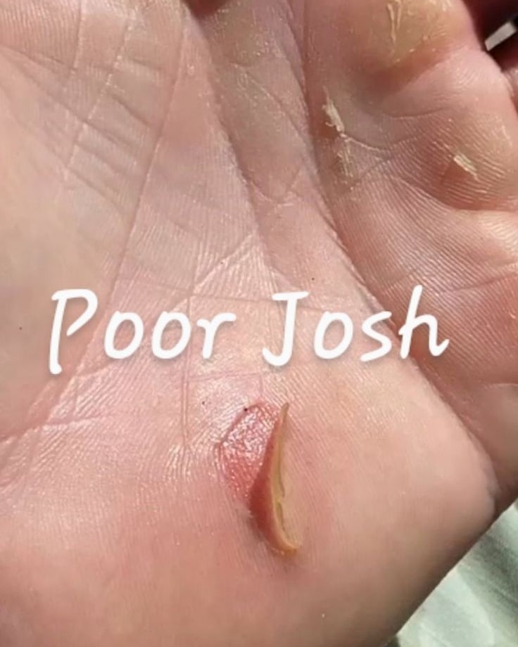 Josh82606717's tweet photo. https://t.co/pUPnc7RPyc