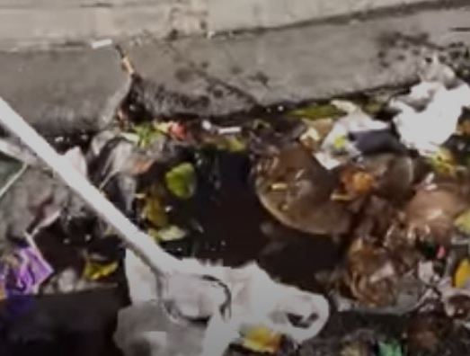 VisionRLSH's tweet image. A lot of trash to clean with @Aliyah_RLSH today, few 
Keep your streets clean!  

#RLSH #keepyourstreetsclean #spreadawareness #spreadlove #climatechange