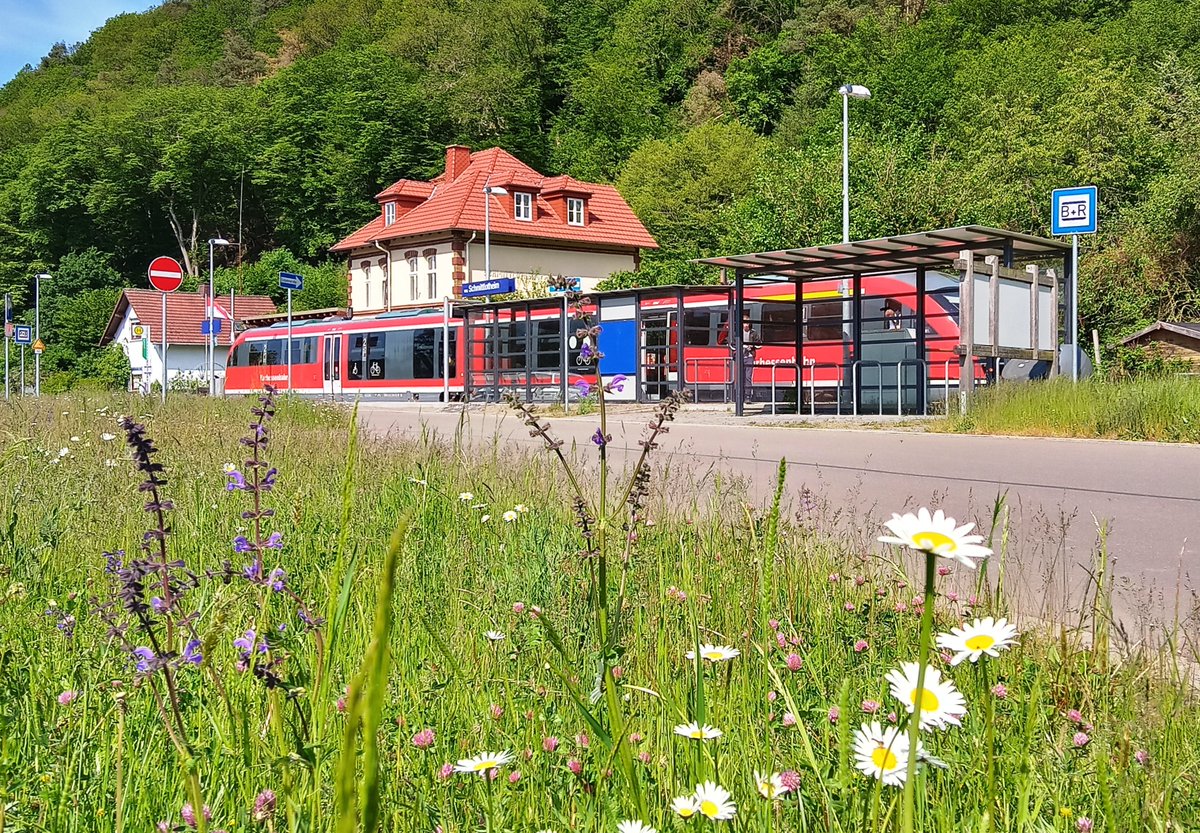 Hessens Norden (@hessensn) on Twitter photo 