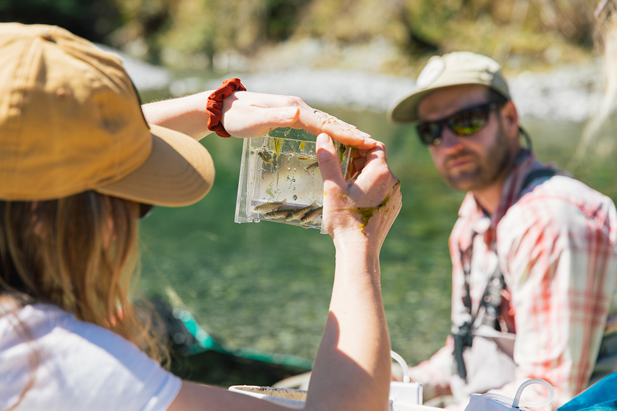 Through the #HealthyWatersBC, @REFBC @governmentofbc and #watershedsbc are supporting more than 60 job-creating watershed restoration projects in communities around BC. See what’s happening in your watershed: 

🌊 healthywatersheds.ca 

Photo: Central West Coast Forest Society