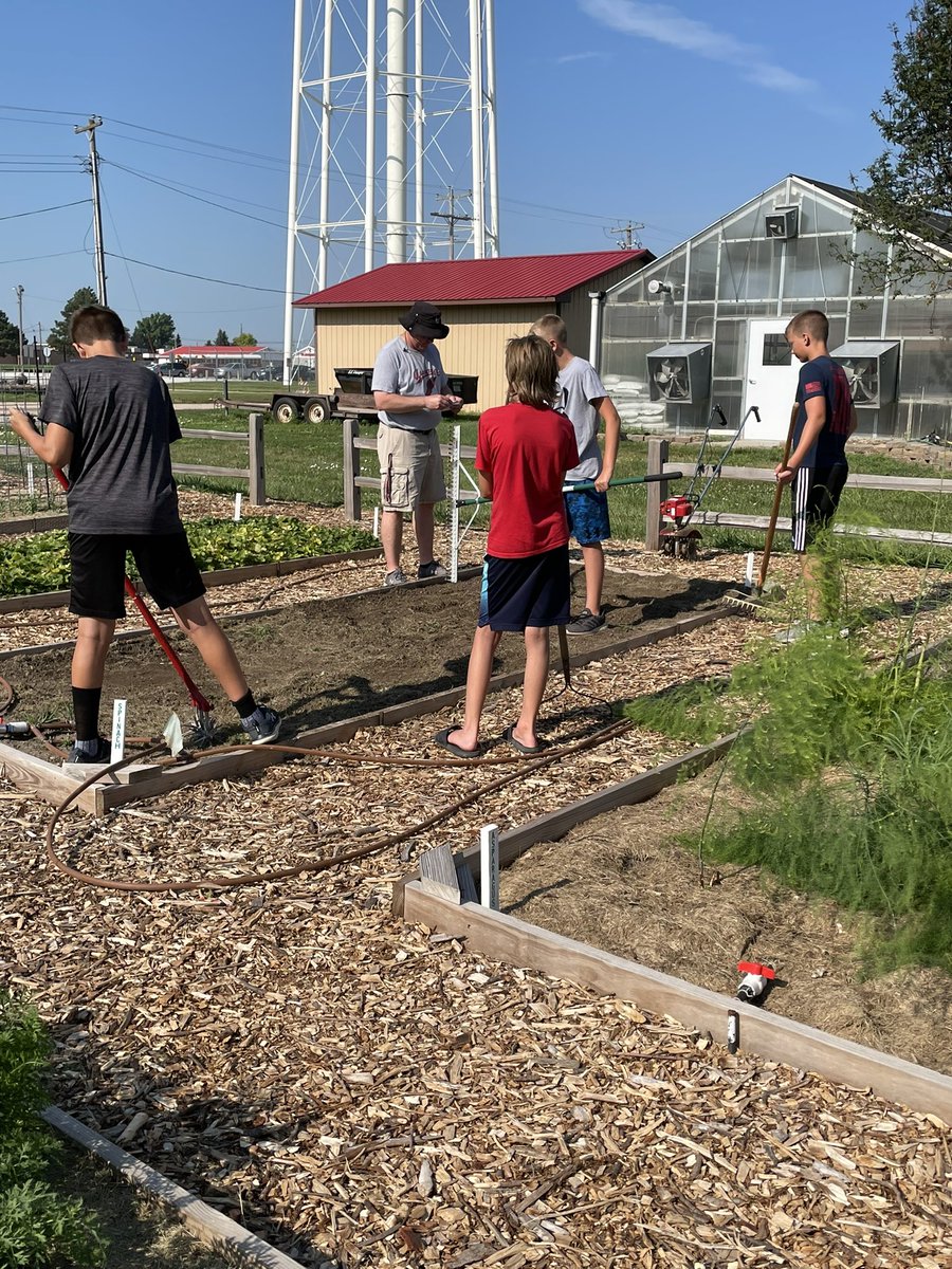 Lots of good stuff happening this morning: beginning of potato harvest, end of broccoli and cauliflower, continuing strawberries, and watermelon seeds in the ground. AWESOME! #aurorahuskies