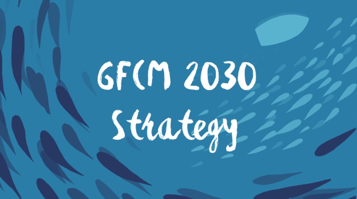 The participatory process involving a variety of stakeholders has been crucial for the drafting of the #GFCM2030 Strategy &amp; will continue to be throughout its implementation. 

Learn more about the process👉 fao.org/gfcm/2seas1vis… 

Join us on Friday👉
fao.org/gfcm/2seas1vis…