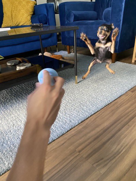 twaniimals's tweet photo. https://t.co/Y98z64Mv0B