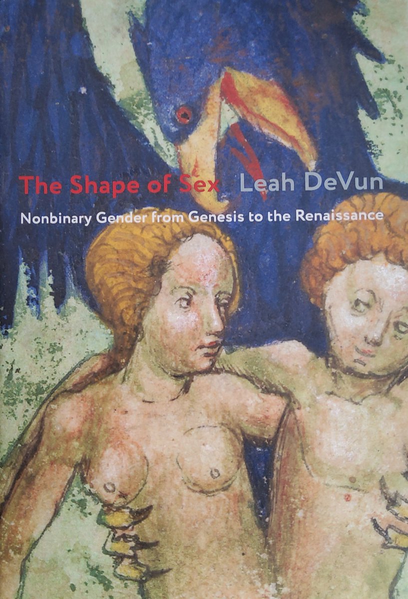 Hot off the presses: The Shape of Sex, by @DevunLeah. Thank you, Leah! We love our #TransgenderHistory collection, but it's been sorely lacking in titles with a #nonbinary focus, and this is a step toward greater inclusion.