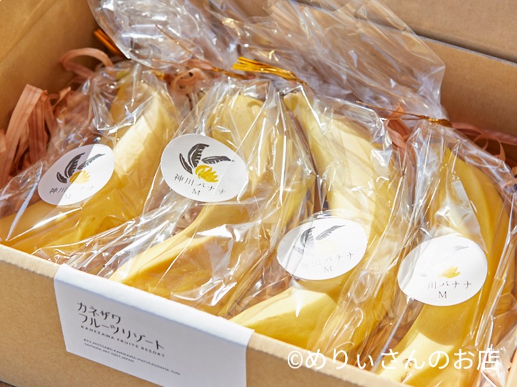 めりぃさんのお店 Merryshop Twitter めりぃさんのお店 Merryshop Twitter